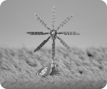 Cleantech & Climate Solutions